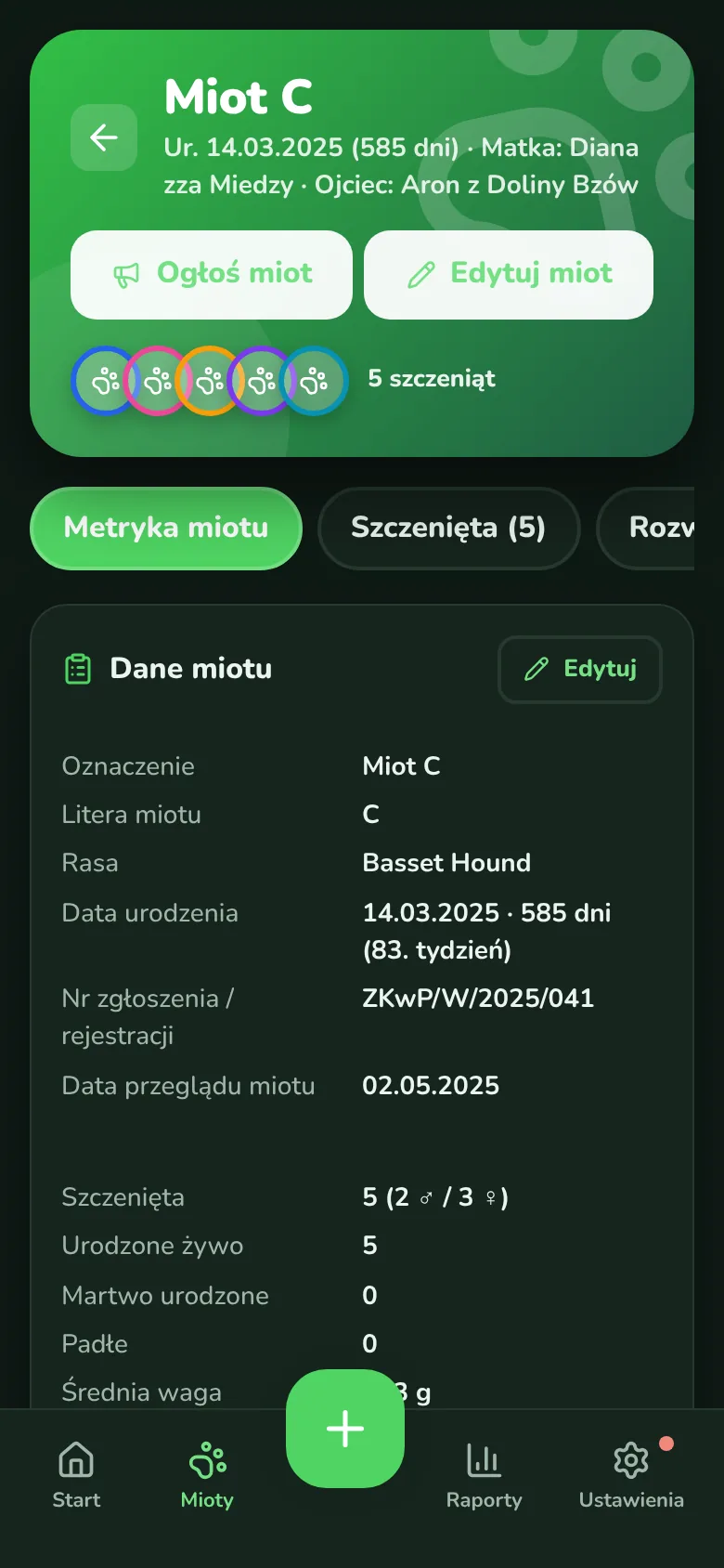 Miot · tryb ciemny
