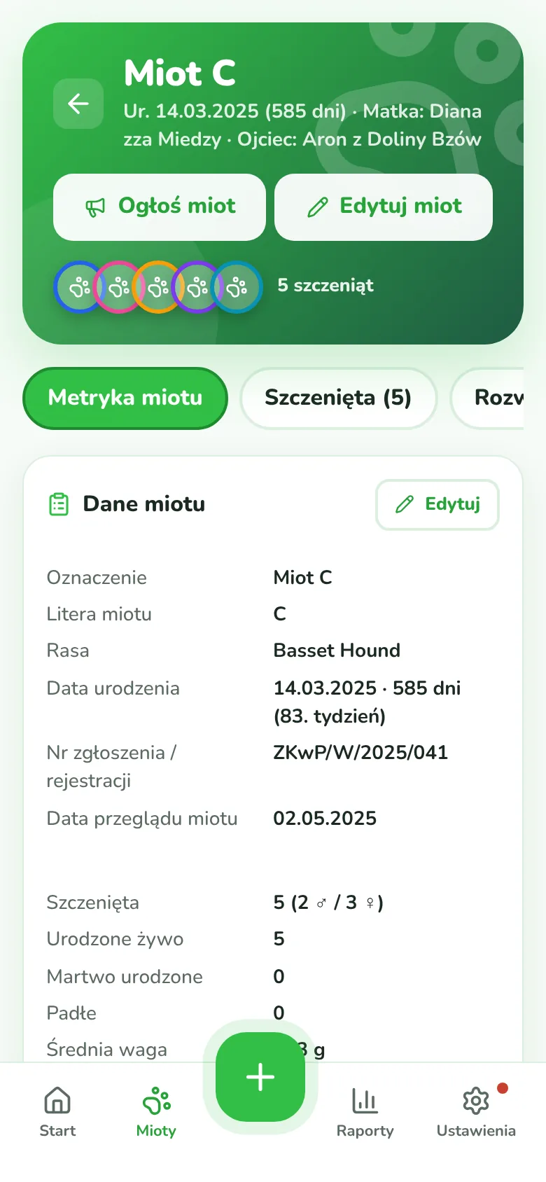 Metryka miotu w Dogpilot